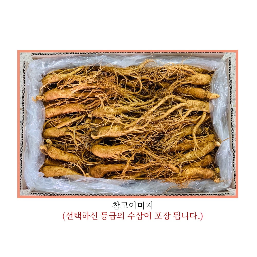 수삼 (대삼계) 15kg